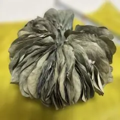 ユーカリ ドライフラワー リース状