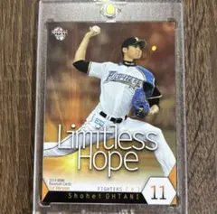 大谷翔平日ハム LEGENDS HOPE - メルカリ