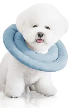 エリザベスカラー 子猫 子犬 ソフト 引っ掻き防止 ブルー Sサイズ 調整可能