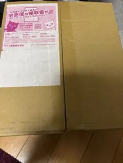 Nintendo Switch 2 ポケモンレジェンズ アルセウス