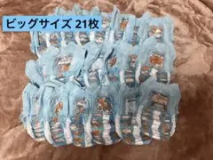 トレパンマン　トレーニングパンツ21枚　トミカプラレール　ブルービッグサイズ