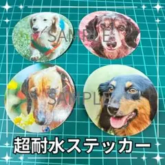 写真で丸形ステッカーお作りします。愛犬　愛猫　車、バイクなど　超耐水　光沢紙