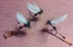 Item thumbnail for item 3a8de862-2ba4-424d-8059-9d189ea5777d