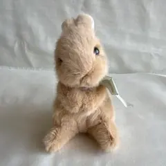 ピンクハウス うさぎ ぬいぐるみコサージュ 黒(エトワールシュクレ