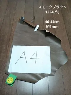 Item thumbnail for item 7350c290-7bd0-458a-8d9f-4c2ad9ba9b28