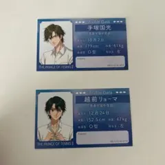 ヒカルの碁 原画展 プロフィールカードコレクション 緒方精次 2点