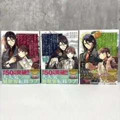 異世界に救世主として喚ばれましたが、アラサーには無理なので、ひっそりブックカフ…