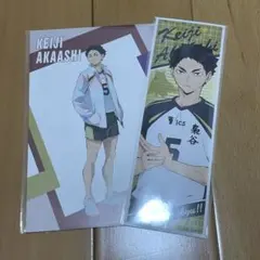 ハイキュー　赤葦　ポストカード