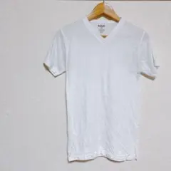 Item thumbnail for item 622fb4a4-166c-449d-b243-6f82326cc0ea