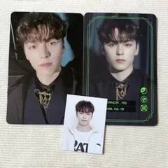 セブチ　バーノン