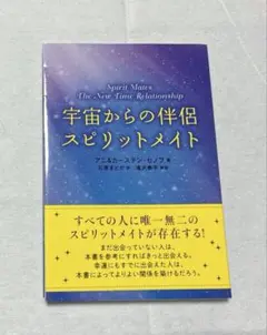 パワー・ビジョン 古代レムリア期からのメソッド 穴口恵子 - メルカリ