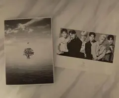 EXO Bird CD DVD