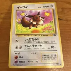 イーブイ ● 第2弾拡張パック ポケモンジャングル