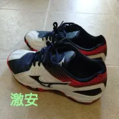 Mizuno　ミズノ　ウエーブ　ガイア　23cm