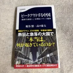 ピークアウトする中国 「殺到する経済」と「合理的バブル」の限界