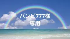 バンビ777様専用ページ