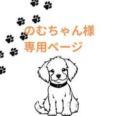 のむちゃん様専用ページ