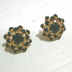 レディース イヤリング ①