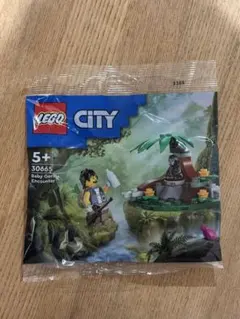 LEGO City Baby Gorilla Encounter 試供品