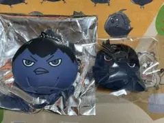 ハイキュー 動物マスコット ミニビーズクッション&ヘアクリップ