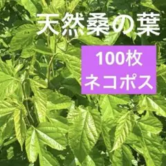 新鮮無農薬　天然葉 ふわふわぽんぽんのサムネイル