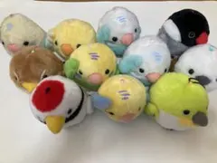 2025年最新】ことり隊 ぬいぐるみの人気アイテム - メルカリ