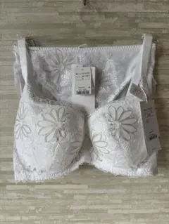 E75L」トリンプ プレミアム ゴールドレーベル 刺繍ガーベラの花 ブラショーツ