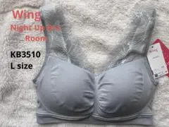 Item thumbnail for item 16664297-a9f8-4fd1-a6e0-9cdbe76c3b79