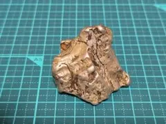 レ*ス様 オハイオ州産 三葉虫 Flexicalymene retrorsa 4 - メルカリ