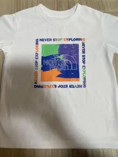 ザノースフェイス Tシャツ