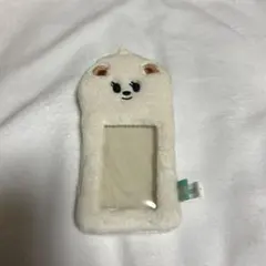 プルバトゥ フォトカードホルダー バムグッ