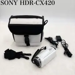 2026年最新】HDR-CX420の人気アイテム - メルカリ