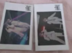 Item thumbnail for item 14e671e8-0f9c-469f-bfaf-52d599352042