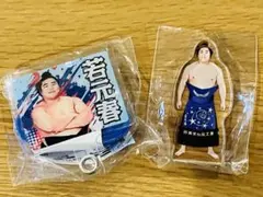 大相撲ガチャ 若元春セット - メルカリ