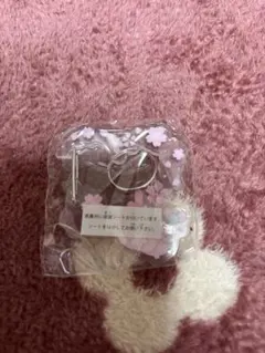 ☆ さくらマジックアクリルカラビナ　マイメロ