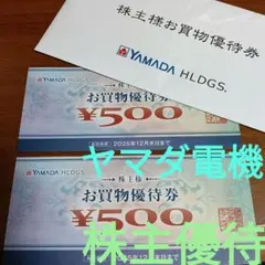 ヤマダ電機YAMADA HLDGS. 株主優待券 ¥1000