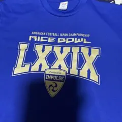 Item thumbnail for item c1073dc8-4f22-49f5-bc1f-833326dfb92e