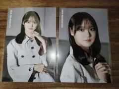 き293： 櫻坂46 山田桃実 14th BACKS バクラ ポストカード - メルカリ
