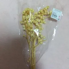 アンバーナッツ半量