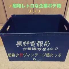 2026年最新】ボテ箱の人気アイテム - メルカリ