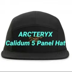 Item thumbnail for item a32f19a5-dea9-4755-bedd-e288e78af1a0