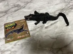 ディアゴスティーニ　アンドコ　コビトカイマン