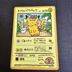 2026年最新】オーヤマのピカチュウの人気アイテム - メルカリ