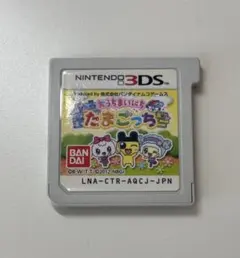 Nintendo 3DS ソフト おうちまいにちたまごっち 最終値下げ