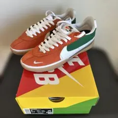 Nike SB BRSB 26.0cm