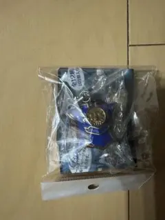 Item thumbnail for item 34fd09fe-94ce-43a5-b645-b468709ee7d4