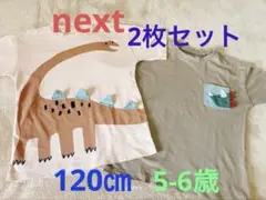【2枚セット】next 恐竜 Tシャツ 120 5-6yrsのサムネイル