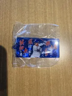上林誠知　応援歌　キーホルダー　ガチャ