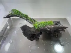 gran様 リクエスト 2点 まとめ商品