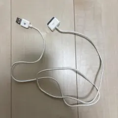 純正品 iPad 充電ケーブル